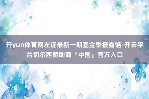 开yun体育网左证最新一期基金季报露馅-开云平台切尔西赞助商「中国」官方入口