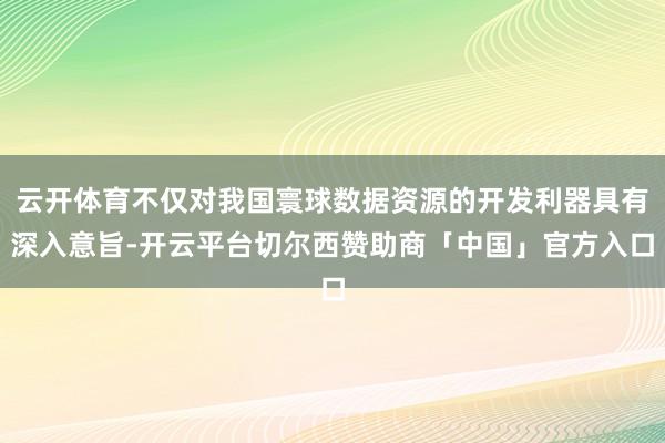 云开体育不仅对我国寰球数据资源的开发利器具有深入意旨-开云平台切尔西赞助商「中国」官方入口