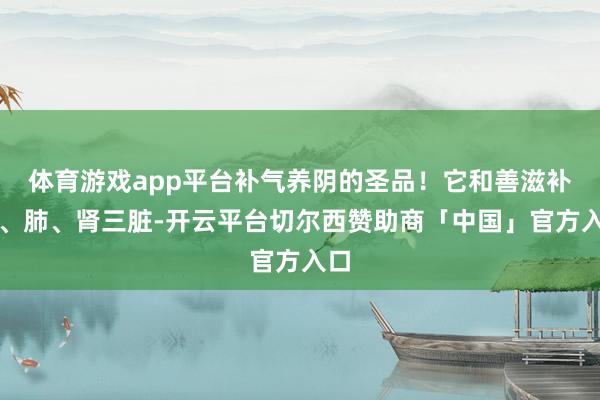 体育游戏app平台补气养阴的圣品！它和善滋补脾、肺、肾三脏-开云平台切尔西赞助商「中国」官方入口