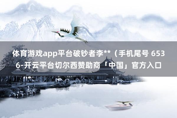 体育游戏app平台破钞者李**（手机尾号 6536-开云平台切尔西赞助商「中国」官方入口