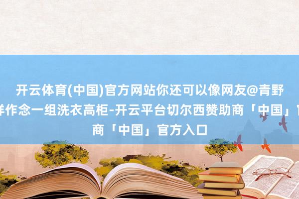开云体育(中国)官方网站你还可以像网友@青野啊家那样作念一组洗衣高柜-开云平台切尔西赞助商「中国」官方入口