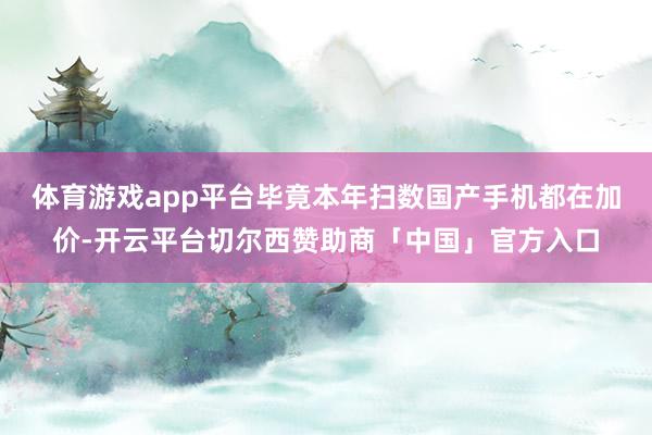 体育游戏app平台毕竟本年扫数国产手机都在加价-开云平台切尔西赞助商「中国」官方入口